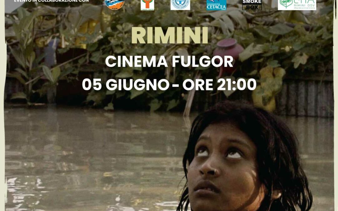 Afrin nel mondo sommerso