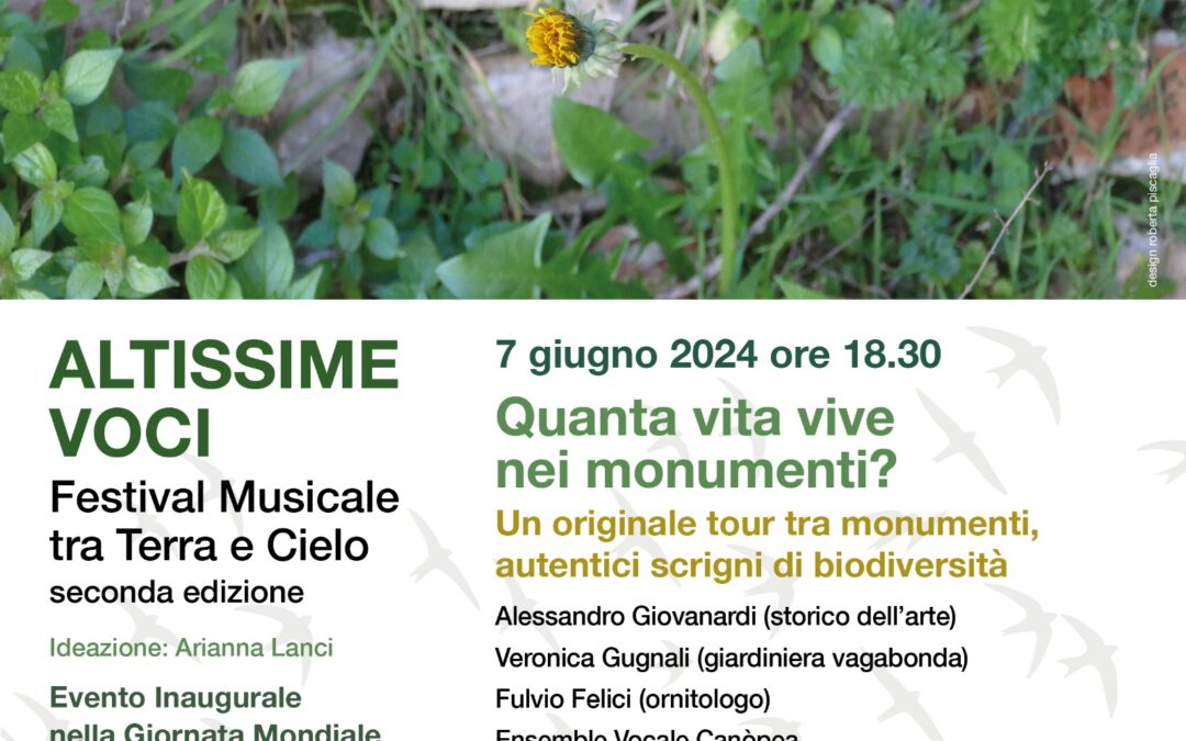 Altissime voci