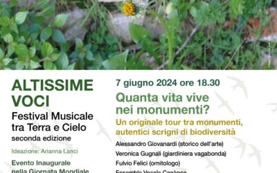 Altissime voci