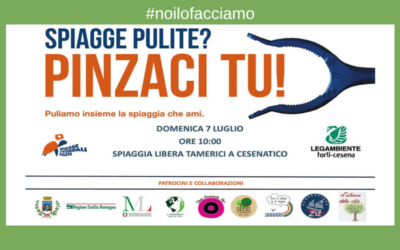 Pinzaci tu! 7 luglio 2024