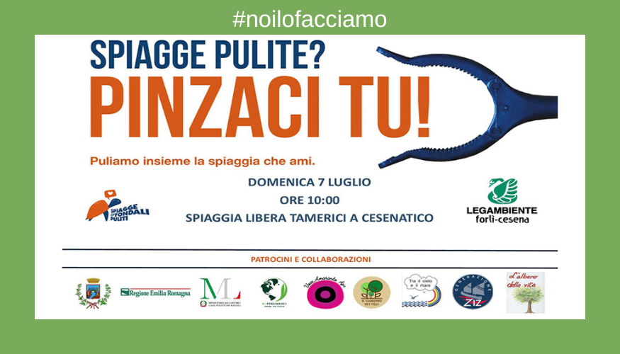 Pinzaci tu! 7 luglio 2024