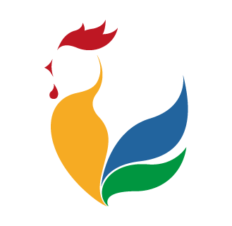 logo VolontaRomagna