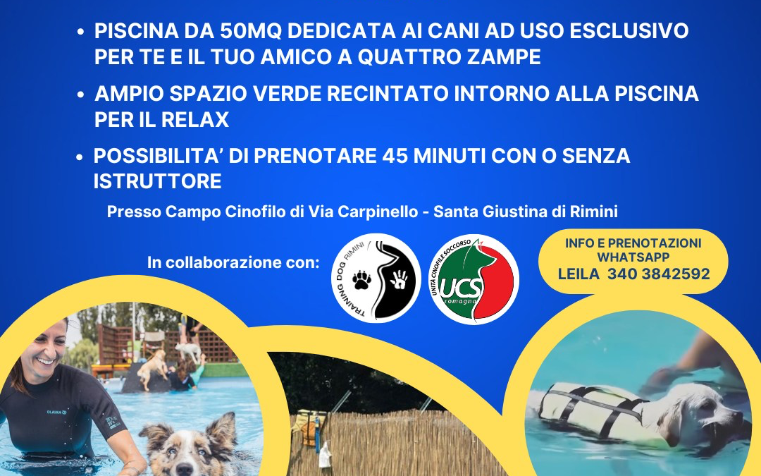 Quattrozampe in acqua!
