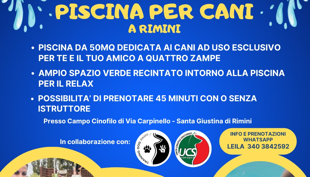 piscina per cani Piscina per cani a Rimini