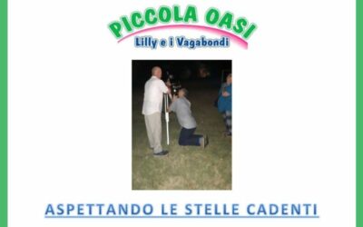Aspettando le stelle cadenti