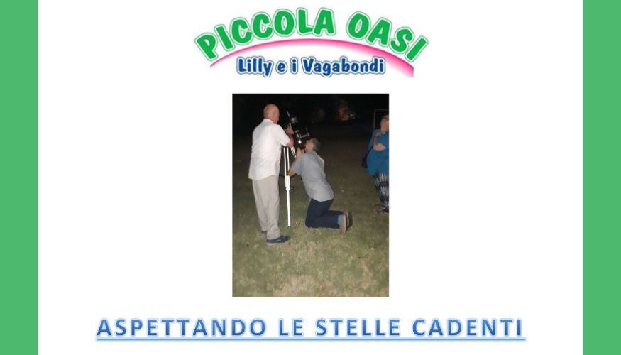 Aspettando le stelle cadenti