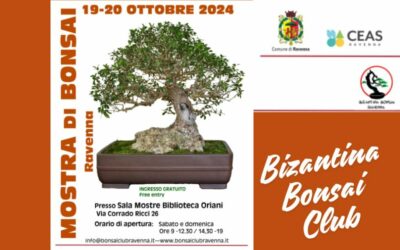 Mostra di bonsai