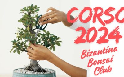 Corso bonsai 2024