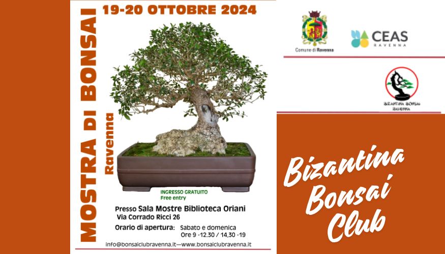 Mostra di bonsai