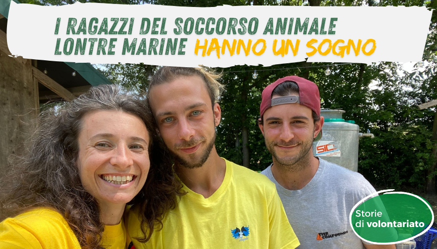 Ciao, siamo le Lontre marine e abbiamo un sogno