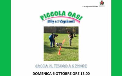 Caccia al tesoro a 6 zampe