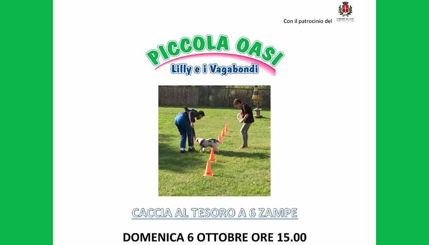 Caccia al tesoro a 6 zampe