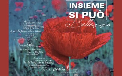 Insieme si può
