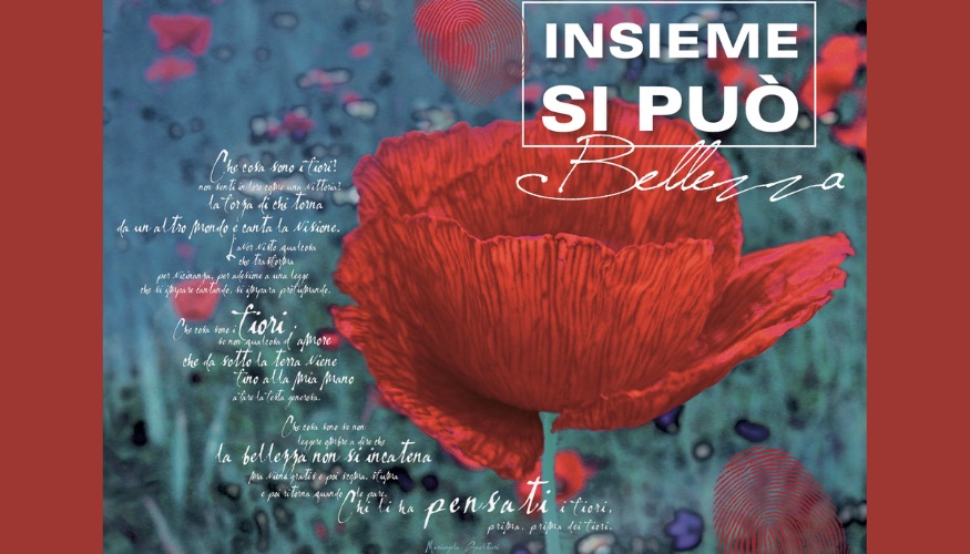 Insieme si può