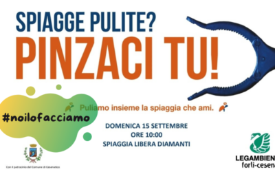 Pinzaci tu! 15 settembre 2024