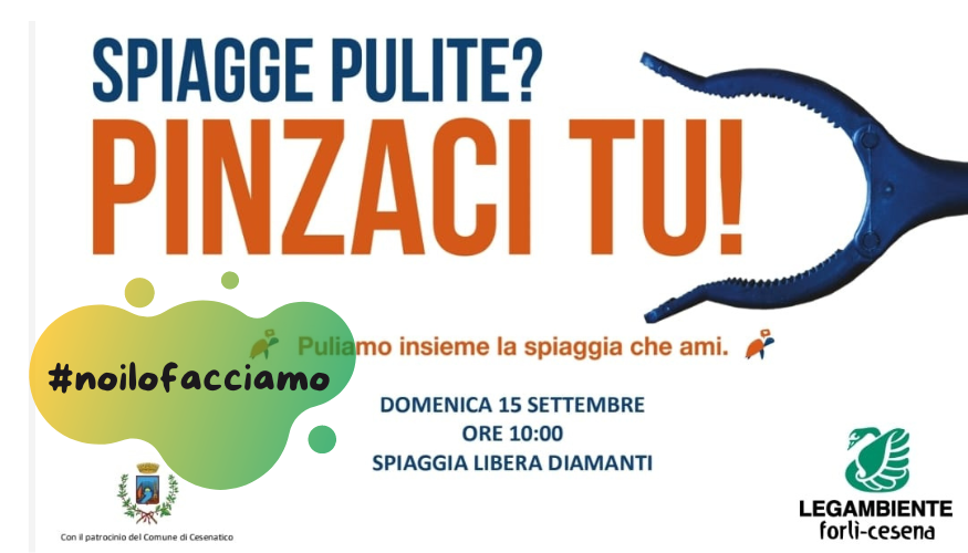 Pinzaci tu! 15 settembre 2024