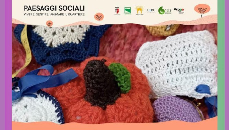 Pompon e animaletti