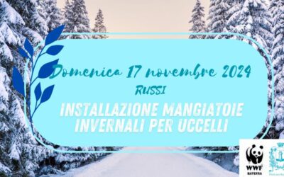 Installazione delle mangiatoie invernali