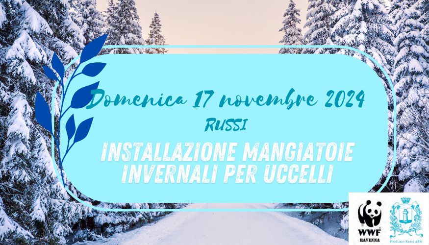 Installazione delle mangiatoie invernali