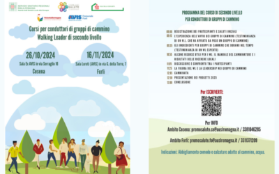 Walking leader secondo livello