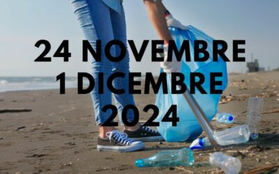 Pulizia invernale delle spiagge