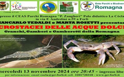 Crostacei delle acque dolci