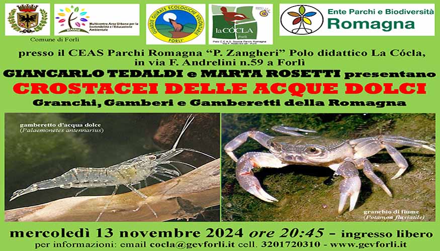 Crostacei delle acque dolci