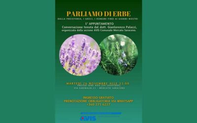 Parliamo di erbe