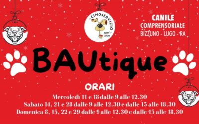 La bau-tique