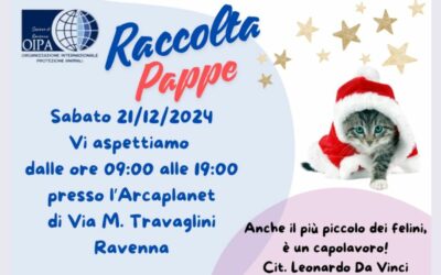 Raccolta pappe