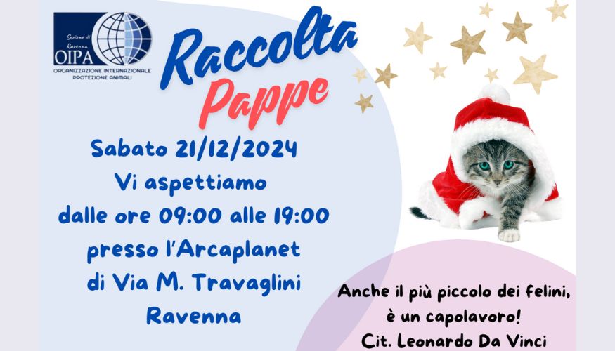 Raccolta pappe