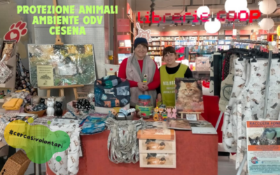 Aiuto per le colonie feline e altro