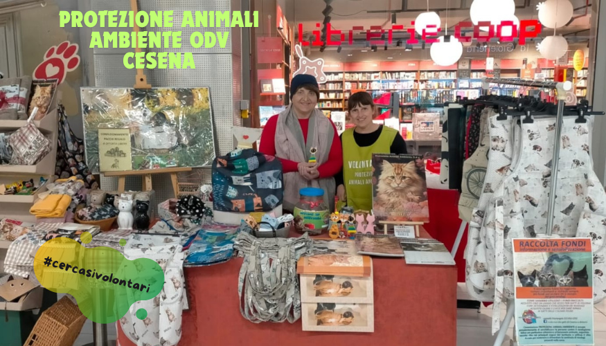 Aiuto per le colonie feline e altro