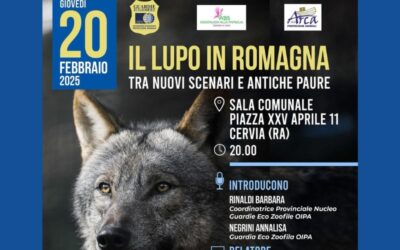 Il lupo in Romagna