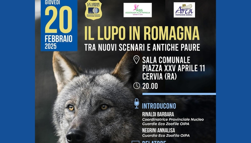 Il lupo in Romagna