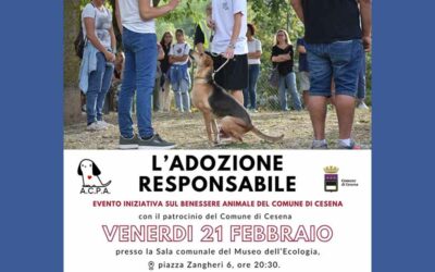 Incontro “L’adozione responsabile”