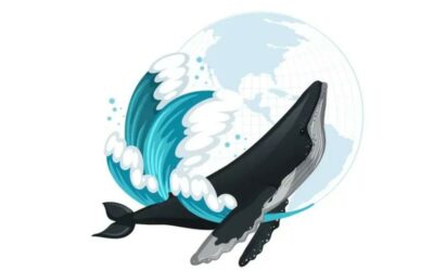 Una balena per amica