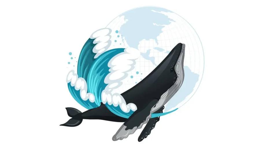 Una balena per amica