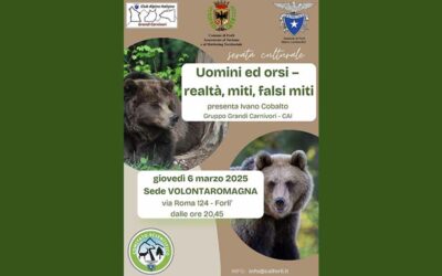 Uomini ed orsi