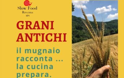 Impariamo con gusto: grani e amore