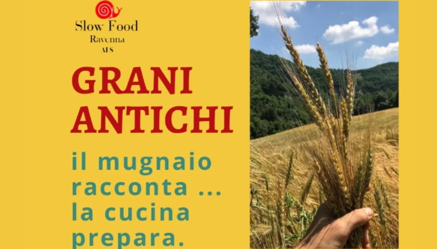 Impariamo con gusto: grani e amore