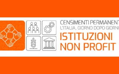 Istat: parte il nuovo censimento delle istituzioni non profit 2025