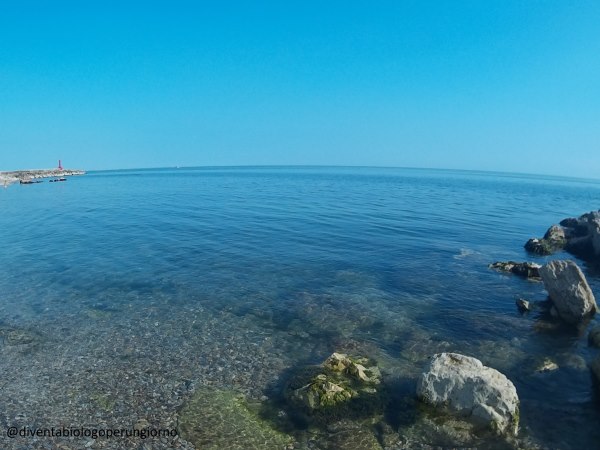 L’Adriatico come storia