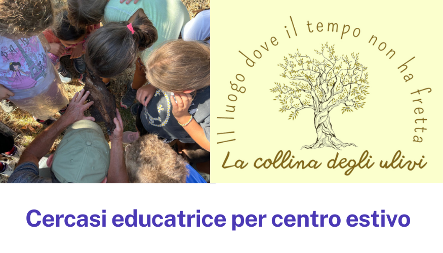 Cercasi educatrice per centro estivo