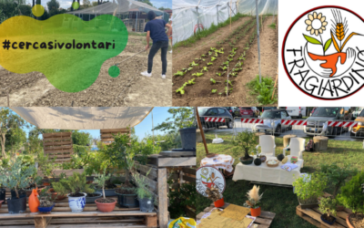 Diventa volontario con Fragiardino APS