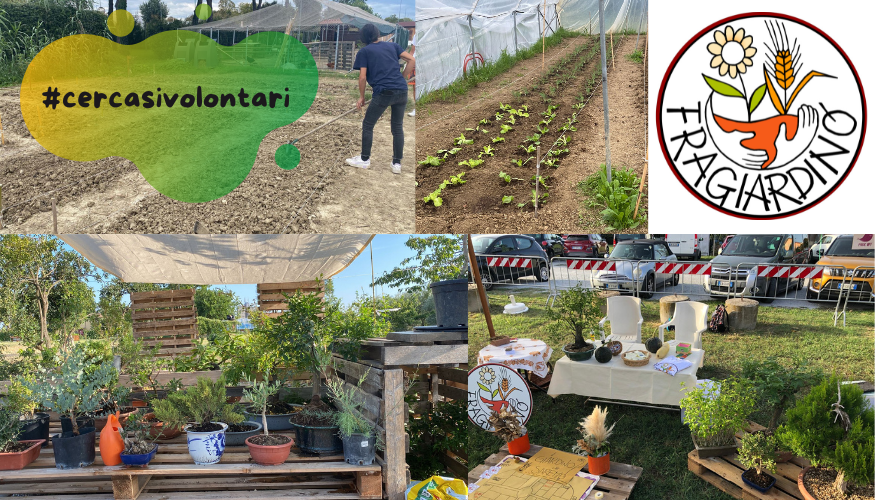 Diventa volontario con Fragiardino APS