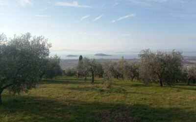 Le vie dell’Umana Dimora