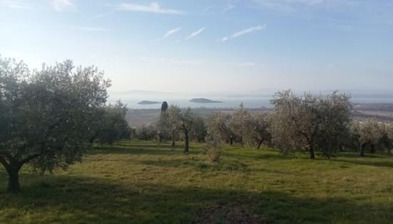 Le vie dell’Umana Dimora