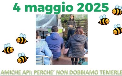 Amiche api