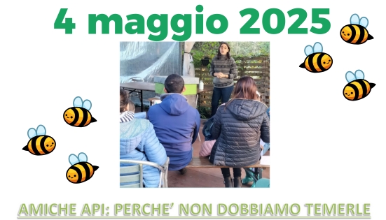 Amiche api